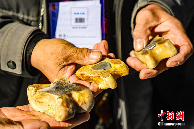 ?шк? Мо???лда малшылар ?м?зда?ы арга? жарысын ?тк?зд?