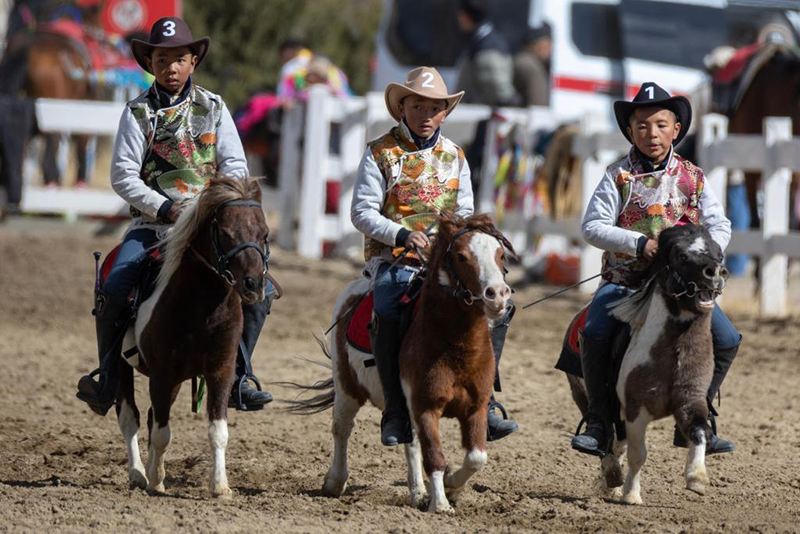 Сицзанны? Лхаса ?аласында д?ст?рл? этникалы? ат ?ст? спорт ойындары ?тт?