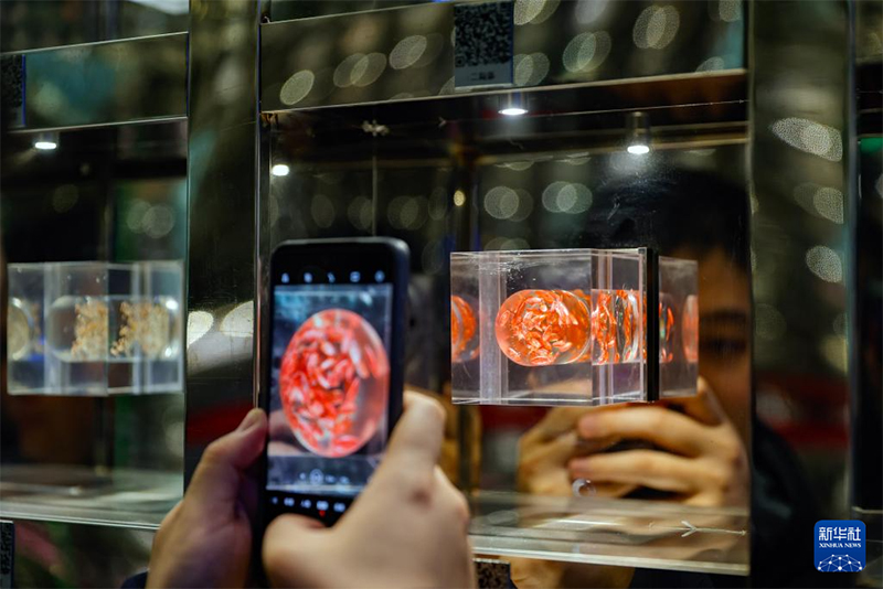 Т??ым ?нерк?с?б?н?? ??рылысы ?Батыс ?ытай к?к?н?с астанасыны?? дамуына серп?н беред?