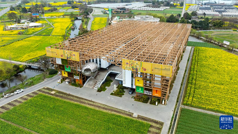 Т??ым ?нерк?с?б?н?? ??рылысы ?Батыс ?ытай к?к?н?с астанасыны?? дамуына серп?н беред?