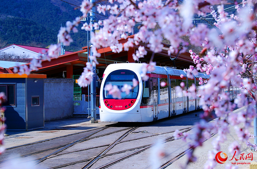 Бейж??: К?ктемге бет ал?ан трамвай