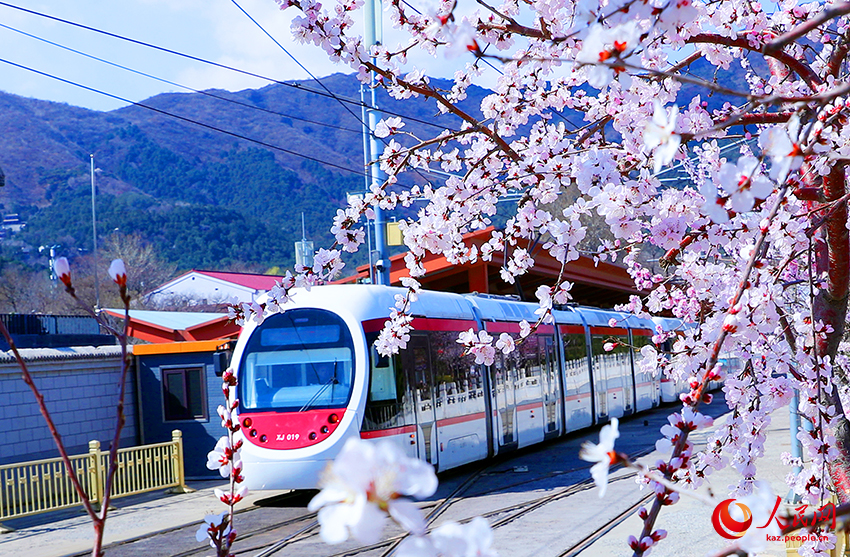 Бейж??: К?ктемге бет ал?ан трамвай