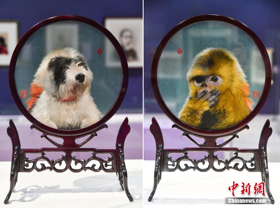 Сучжоу кестес?ндег? мы?да?ан бейне ?лем?