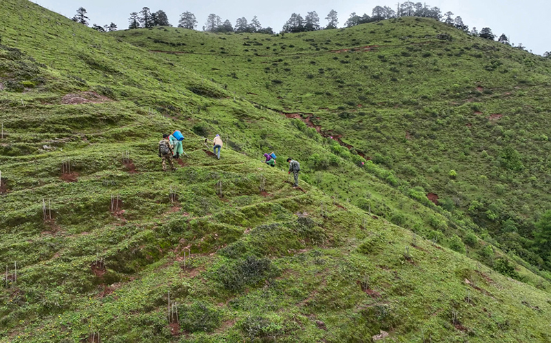 Юньнаньда?ы Тяньчи - Юньнань сабала? маймылдарыны? е? о?т?ст?к мекен?