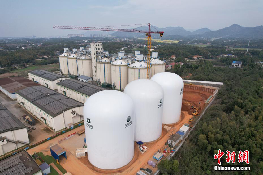 Хунаньда ?ытайды? жа?а буын ауалы мембраналы? асты? ?оймасы пайда болды