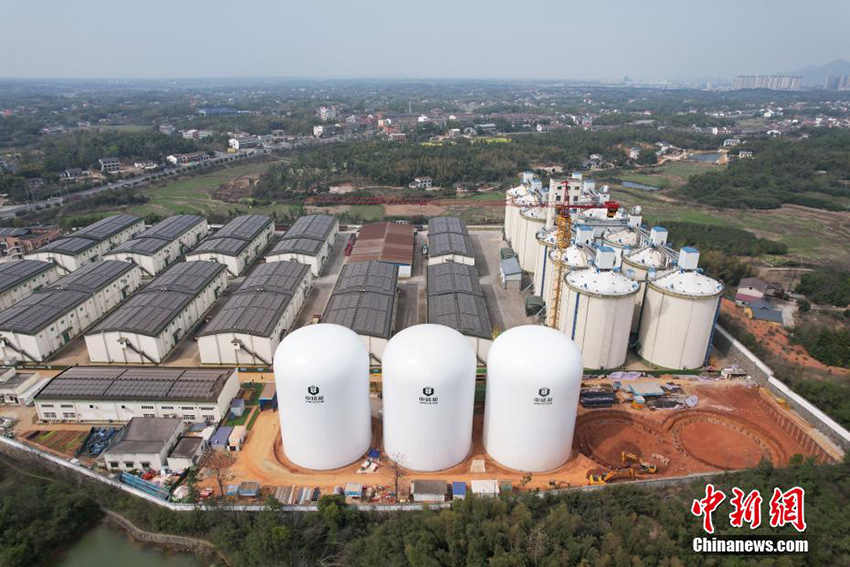 Хунаньда ?ытайды? жа?а буын ауалы мембраналы? асты? ?оймасы пайда болды