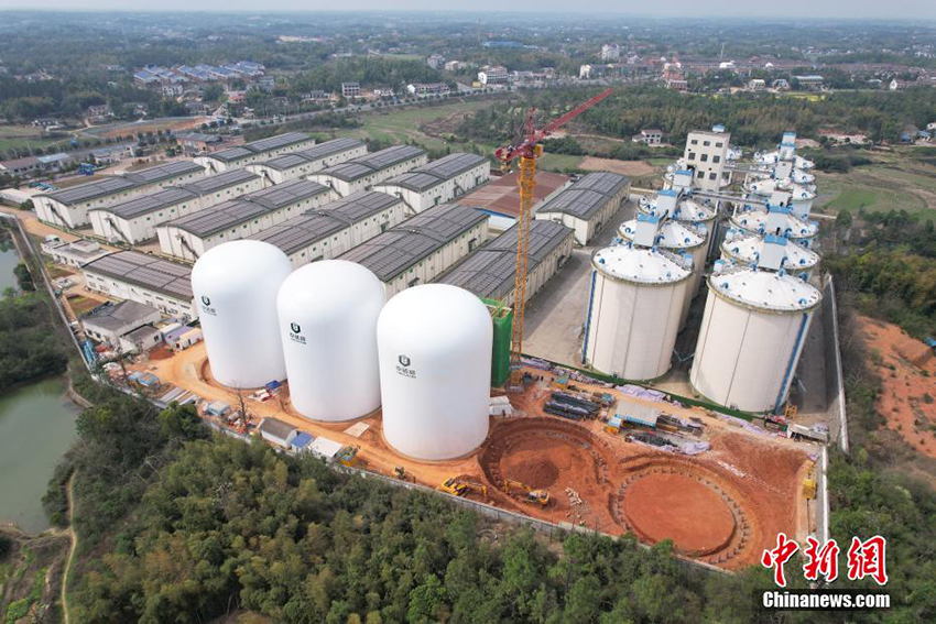 Хунаньда ?ытайды? жа?а буын ауалы мембраналы? асты? ?оймасы пайда болды