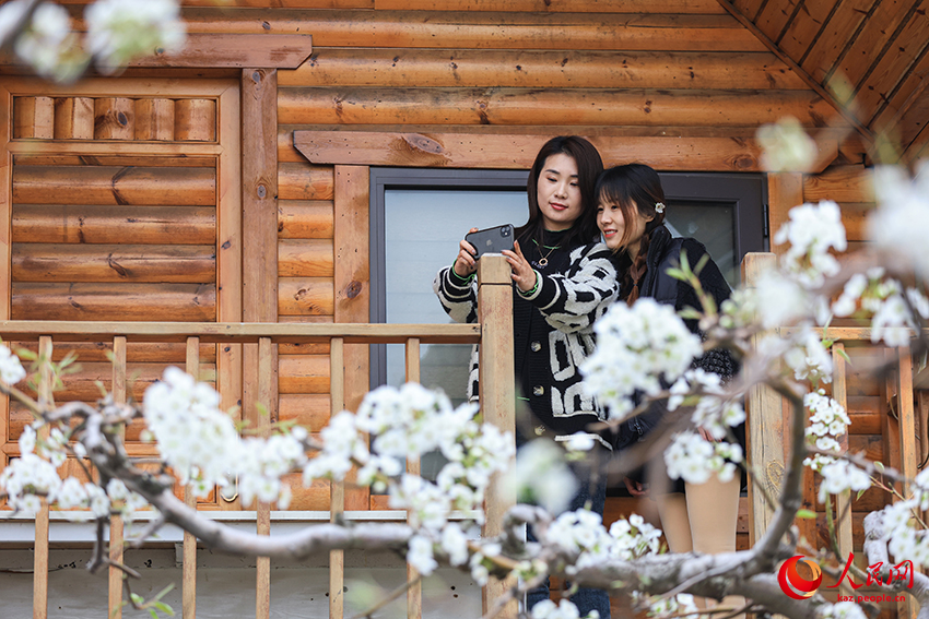 Даншань, Аньхой: Миллион алм?рт а?ашы г?лдер?