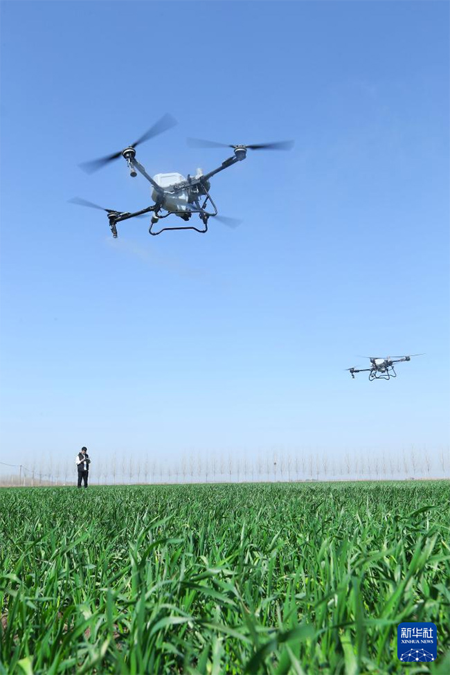 ?ытайда 120 миллион му-дан астам ег?нд?к суарылды