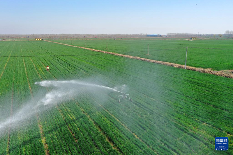 ?ытайда 120 миллион му-дан астам ег?нд?к суарылды