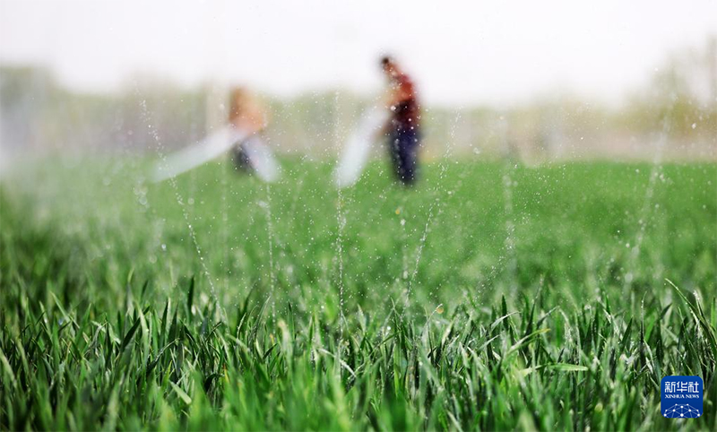 ?ытайда 120 миллион му-дан астам ег?нд?к суарылды