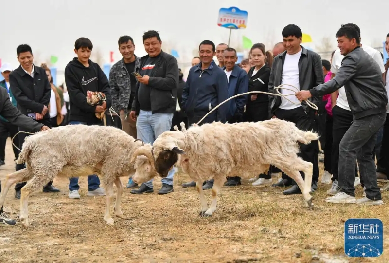 Шы?жа?ны? ша?ын ?алашы?ында?ы фермерлер мен малшыларды? спорт ойындары