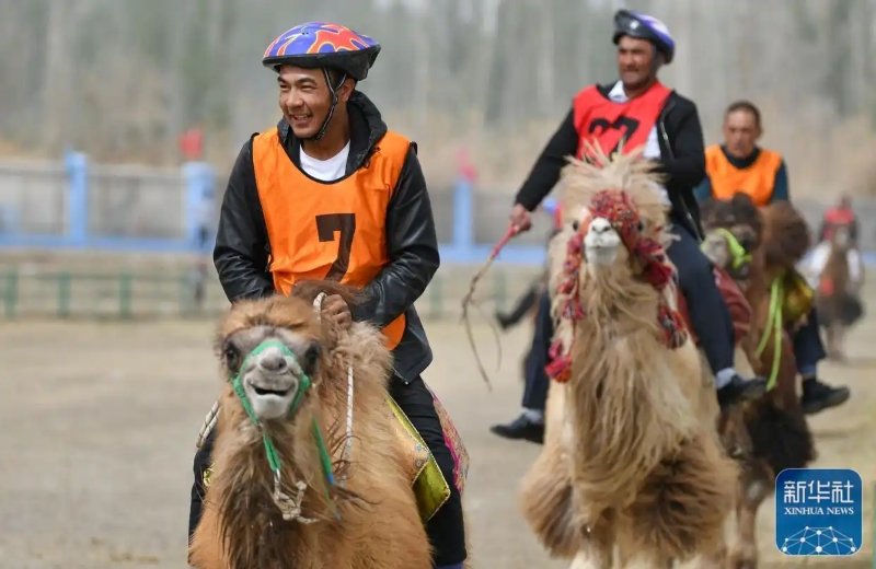 Шы?жа?ны? ша?ын ?алашы?ында?ы фермерлер мен малшыларды? спорт ойындары