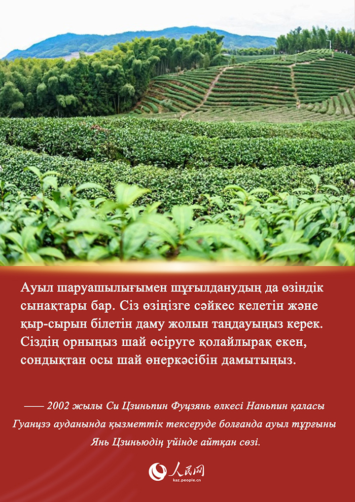 Си Цзиньпин мен Фуцзянь шайы арасында?ы хикая