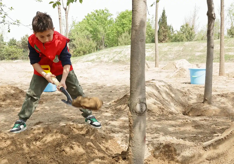 ШЫ? отбасыны? жастары Бейж??де досты? а?ашын отыр?ызды