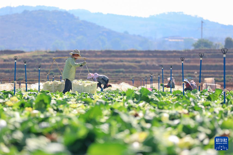 Жаз басы амалында?фермерлер ег?с?ж?мыстарымен??арбалас