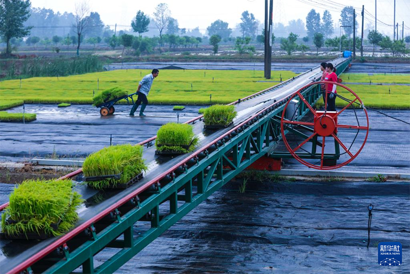 Жаз басы амалында?фермерлер ег?с?ж?мыстарымен??арбалас