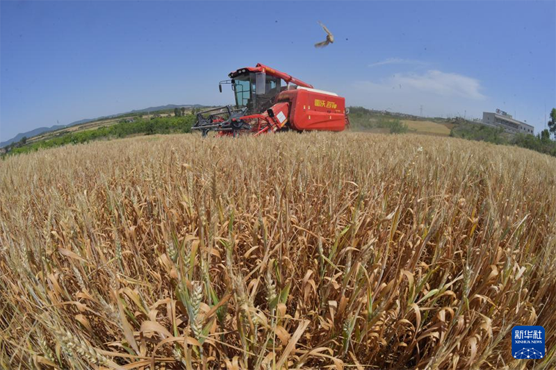 Жаз басы амалында?фермерлер ег?с?ж?мыстарымен??арбалас