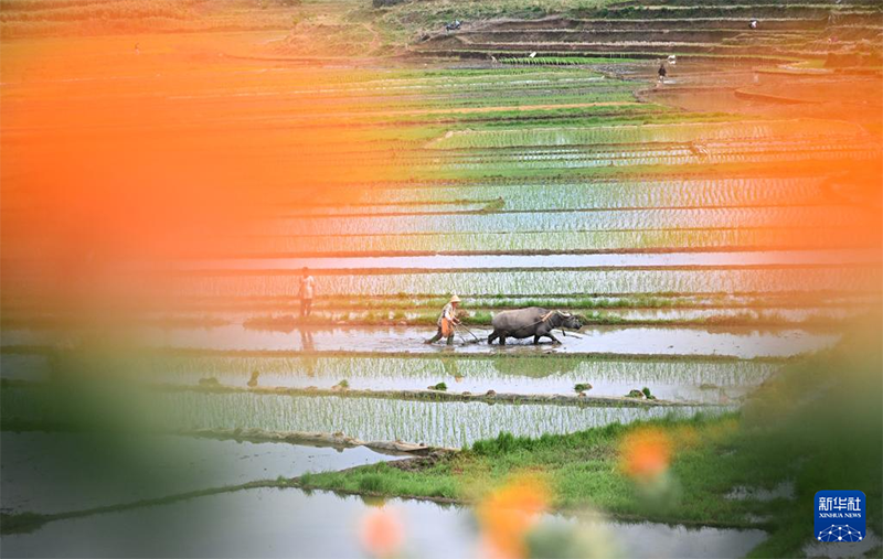 Жаз басы амалында?фермерлер ег?с?ж?мыстарымен??арбалас