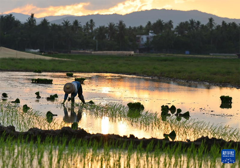 Жаз басы амалында?фермерлер ег?с?ж?мыстарымен??арбалас