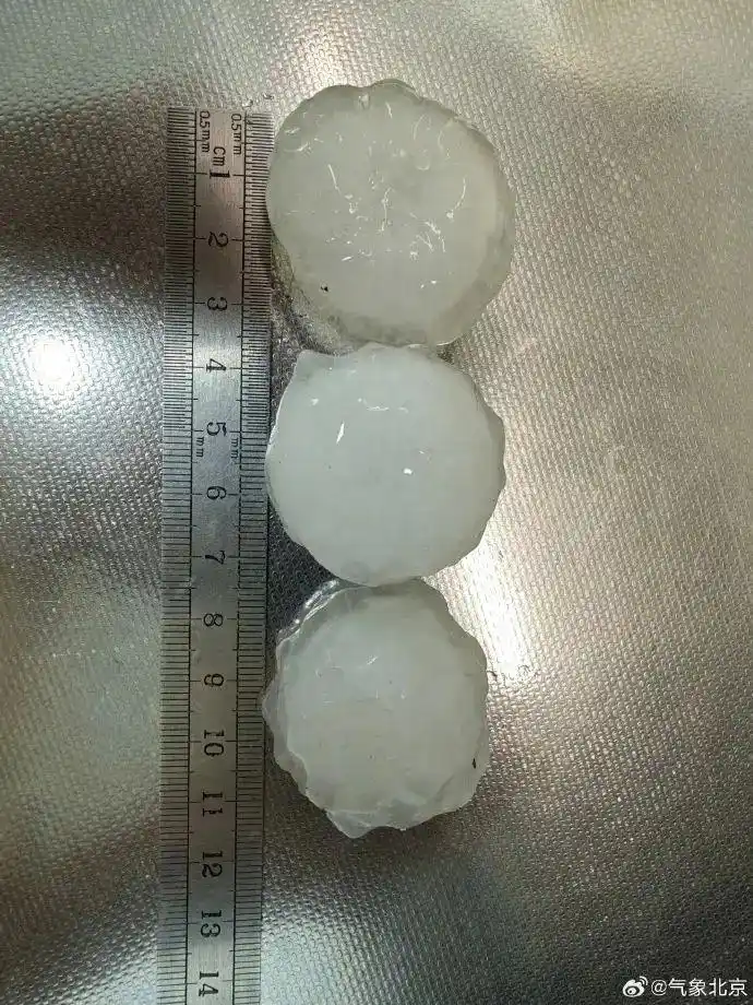 Бейж??де б?рша? жауды