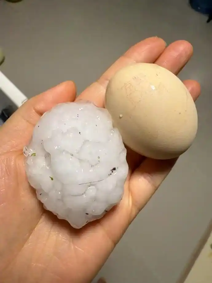 Бейж??де б?рша? жауды