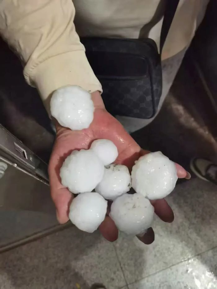 Бейж??де б?рша? жауды