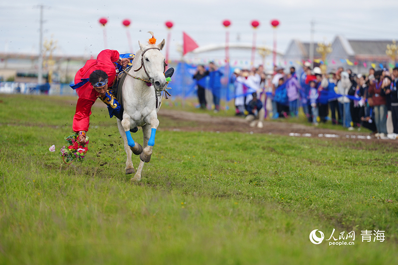 Жайлауда?ы желмен жарыс?ан жыл?ылар