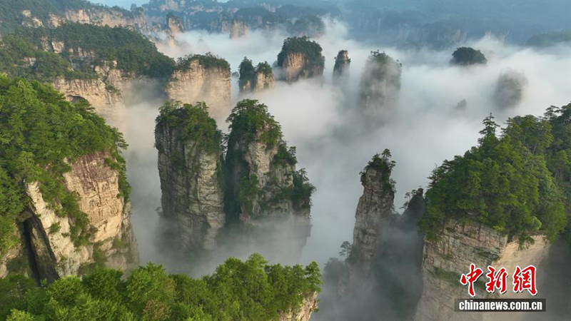 Хунаньда?ы Чжанцзяцзен?? к?рк? к?з тартады